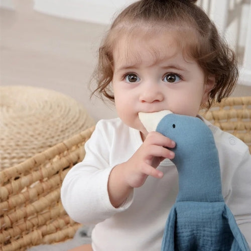 Bébé tétant le bec du doudou oie bleu